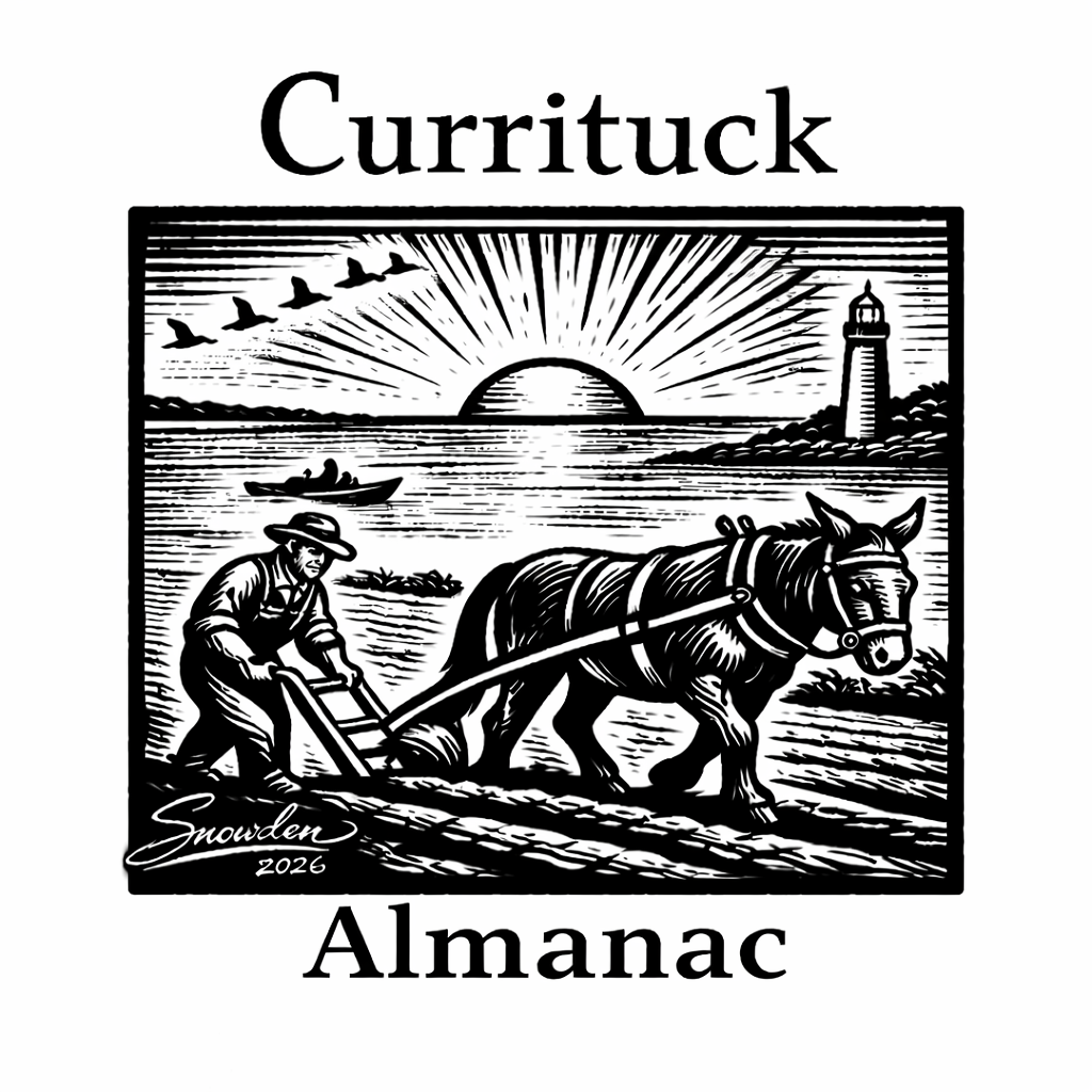 Monkey Farts International Logo